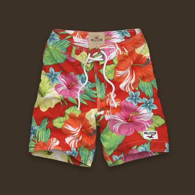 Hollister shorts-65